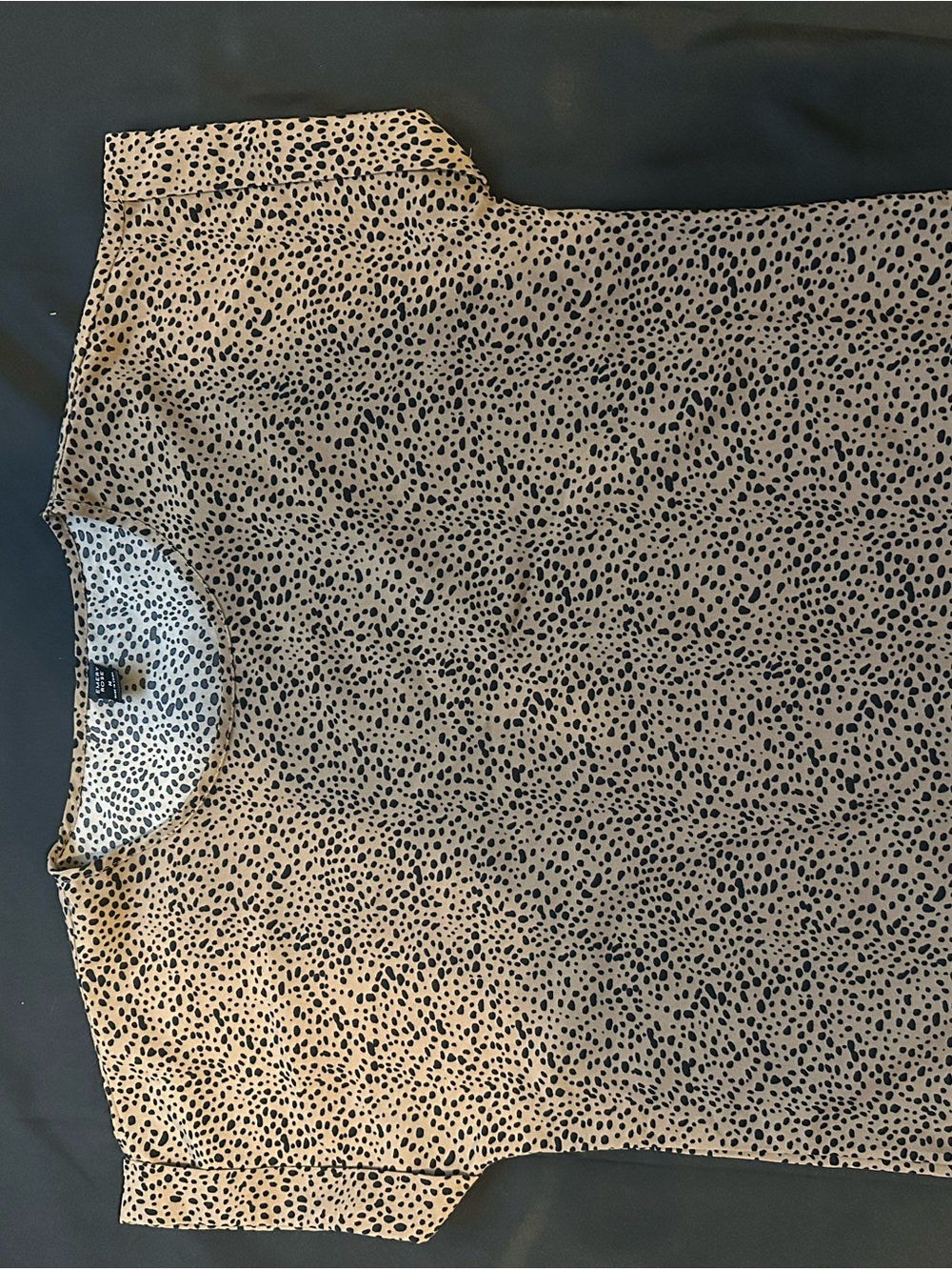 Women’s Short Sleeve Leopard Print Blouse - Beige/Black